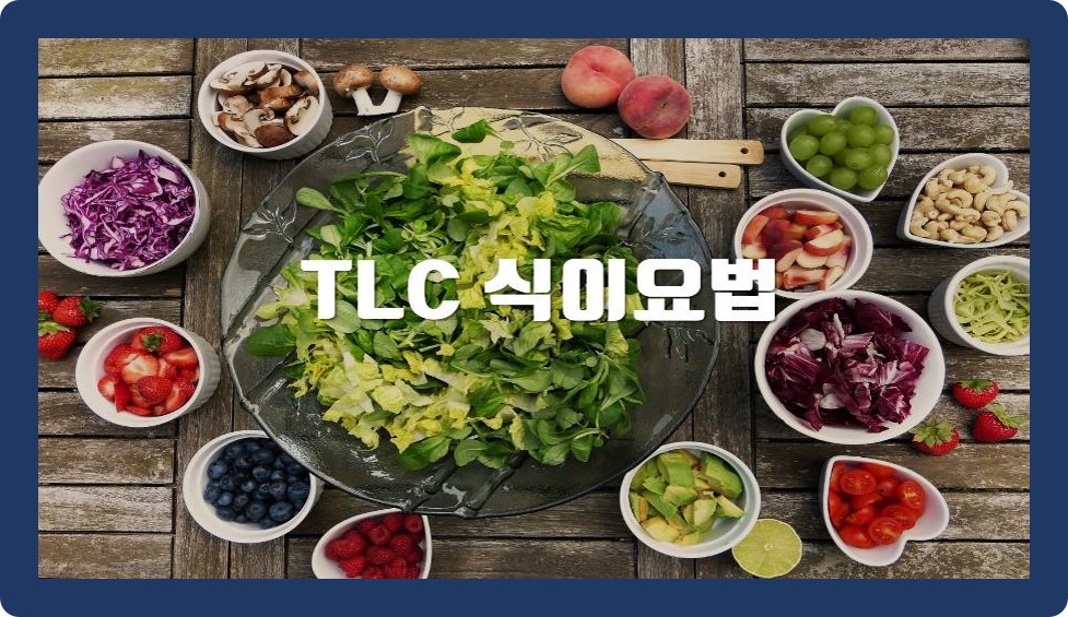 TLC 식이요법 식단 2