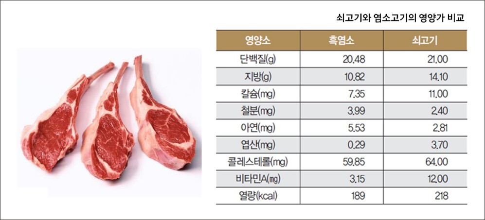 염소 고기와 쇠고기 영양가 비교