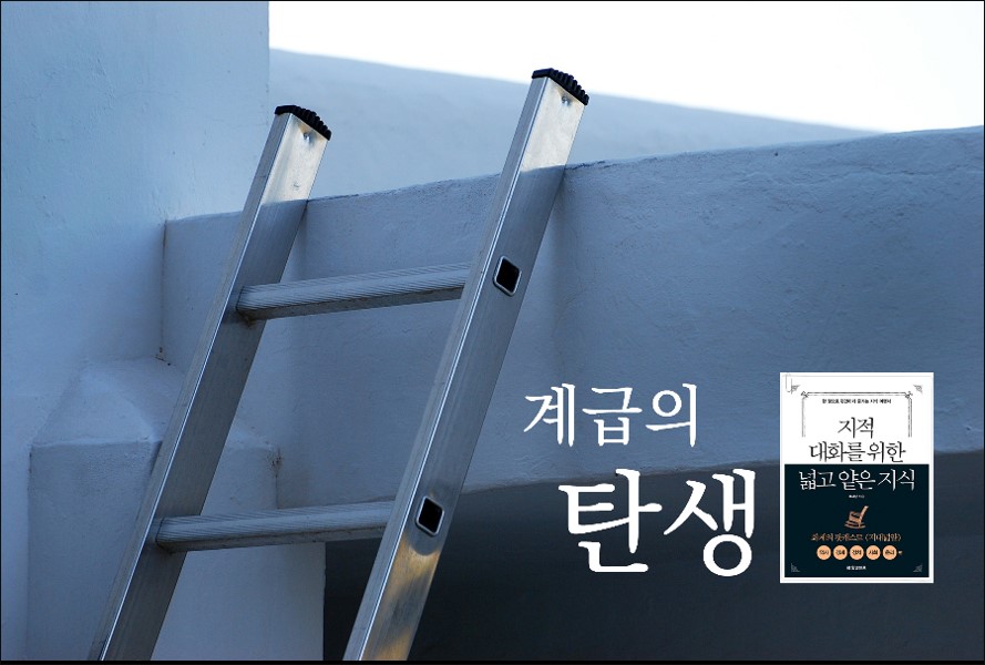 서평 스타일 지대넓얕